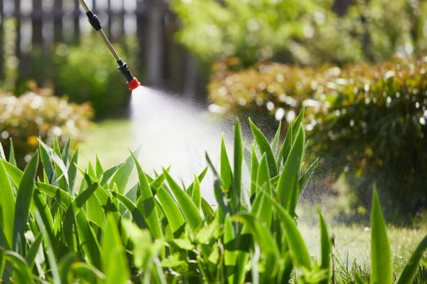 24/7 Emergency Mosquito Control experts in Las Palmas II, TX