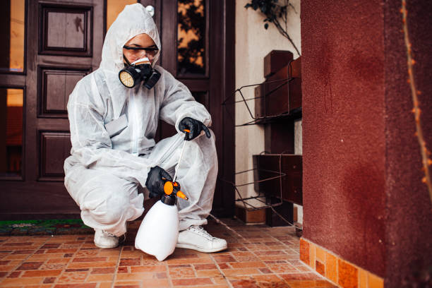 Reliable Mosquito Control contractor in Las Palmas II, TX by Show Me Pest Control